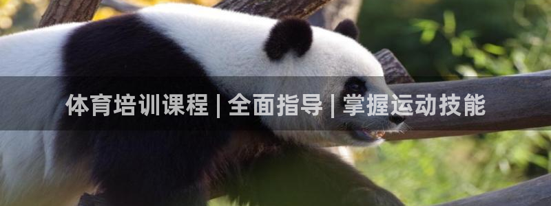极悦平台登录7.0.2.4手机版下载：体育培训课程 