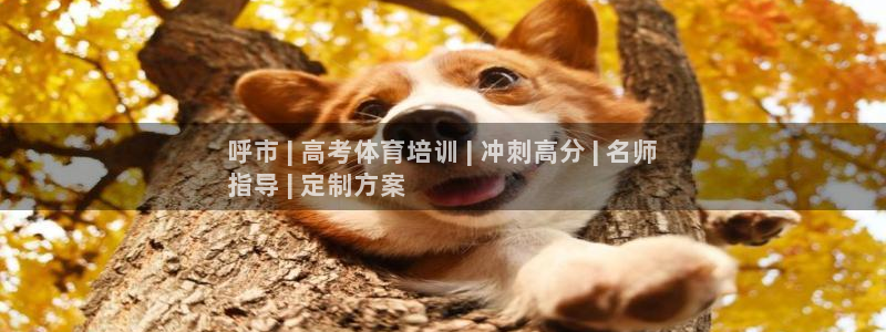 极悦平台官网下载中心app：呼市 | 高考体育培训 