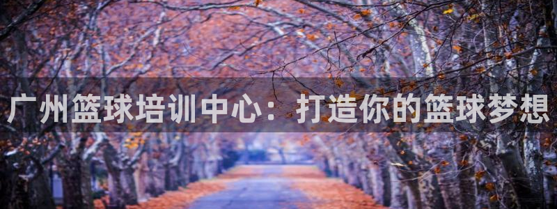 极悦娱乐负责人电话：广州篮球培训中心：打造你的篮球梦