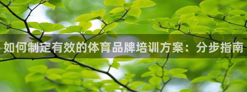 极悦娱乐负责人怎么样：如何制定有效的体育品牌培训方案