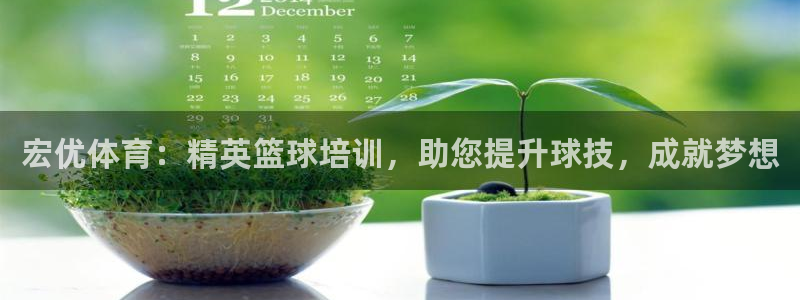 极悦娱乐代理多少钱一个：宏优体育：精英篮球培训，助您