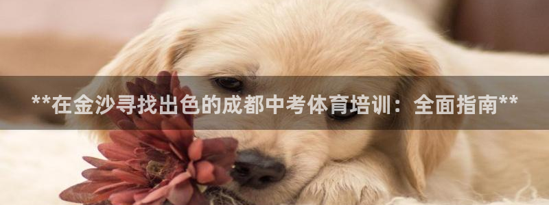 极悦娱乐代理怎么样啊：**在金沙寻找出色的成都中考体