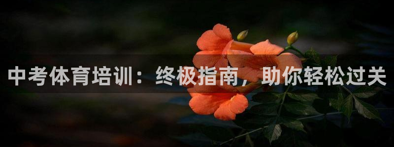 极悦平台客服团队怎么样：中考体育培训：终极指南，助你