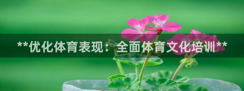 极悦平台官网登录入口：**优化体育表现：全面体育文化