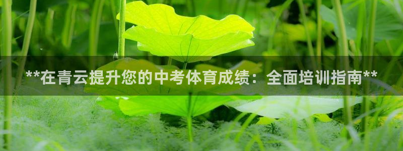 极悦平台发7O777：**在青云提升您的中考体育成绩