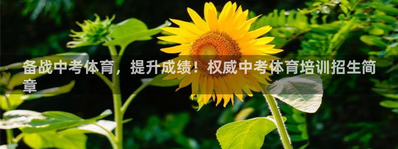 极悦平台官网登录最新版本更新内容介绍：备战中考体育，