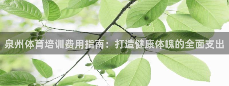 极悦平台注册流程图：泉州体育培训费用指南：打造健康体