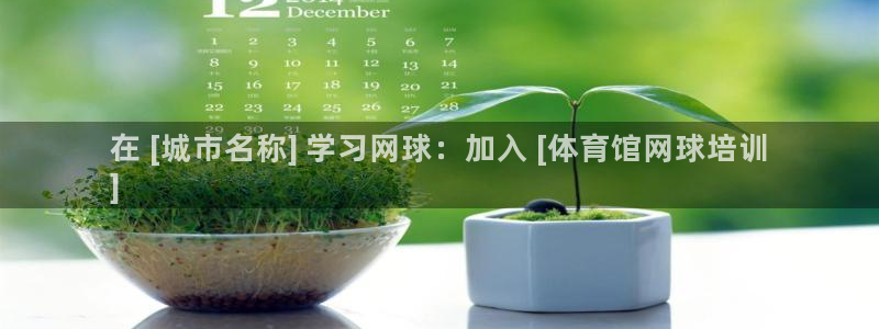极悦平台官方网站首页：在 [城市名称] 学习网球：加