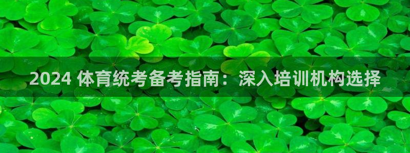 极悦平台注册申请流程详解：2024 体育统考备考指南