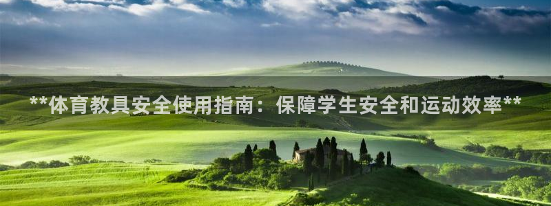 极悦平台用户评价：**体育教具安全使用指南：保障学生