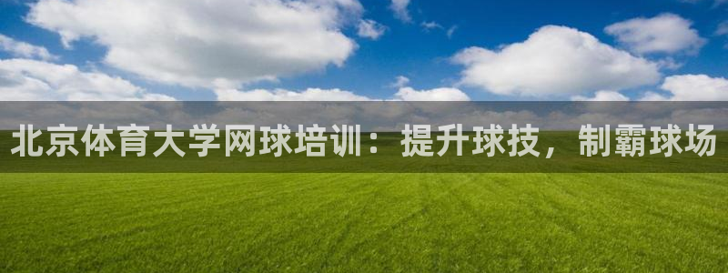 极悦官网的登录方法：北京体育大学网球培训：提升球技，