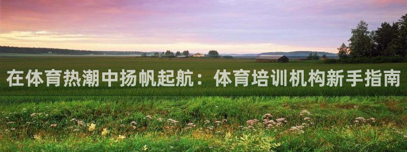 极悦官网登录：在体育热潮中扬帆起航：体育培训机构新手