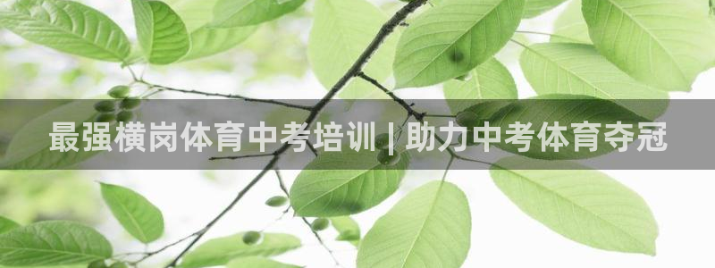 极悦平台注册的弊端及解决方法：最强横岗体育中考培训 