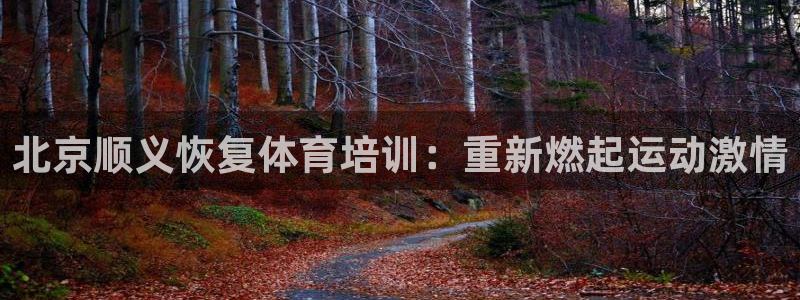极悦平台官方网站登录入口：北京顺义恢复体育培训：重新