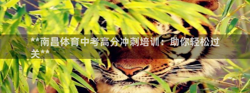 极悦平台注册用户名格式错误：**南昌体育中考高分冲刺