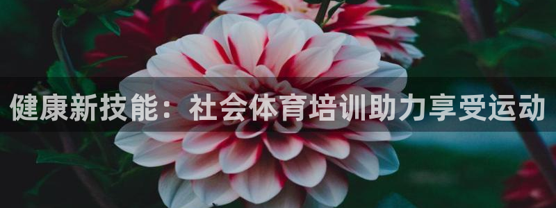 极悦娱乐代理多少钱：健康新技能：社会体育培训助力享受