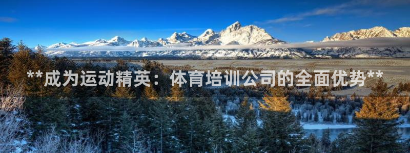 极悦官方网站入口网址：**成为运动精英：体育培训公司