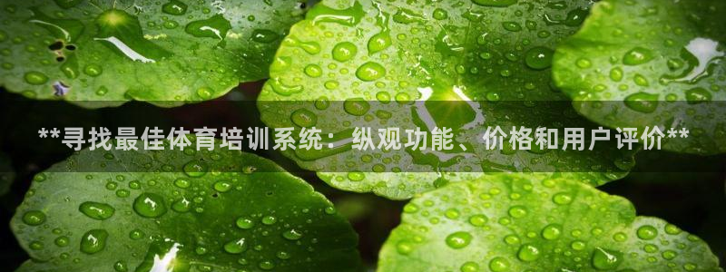 极悦平台登录方式：**寻找最佳体育培训系统：纵观功能