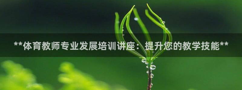 极悦娱乐游戏中心：**体育教师专业发展培训讲座：提升