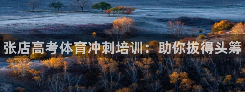 极悦平台的注册流程及注意事项：张店高考体育冲刺培训：