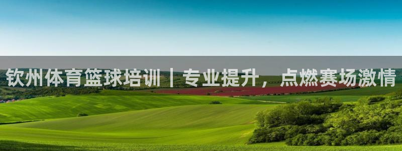 极悦娱乐公司最新招聘信息：钦州体育篮球培训｜专业提升