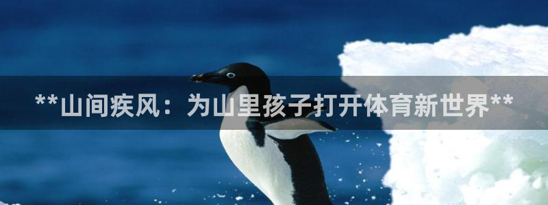 极悦官网首页登录入口：**山间疾风：为山里孩子打开体
