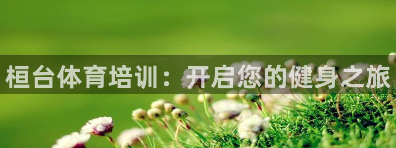 极悦平台是干什么的软件：桓台体育培训：开启您的健身之