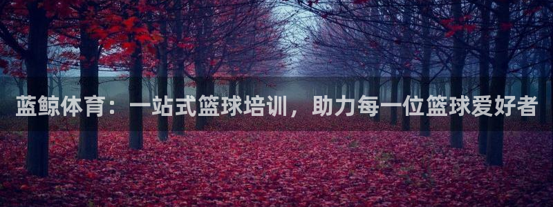 极悦平台官网入口网址：蓝鲸体育：一站式篮球培训，助力