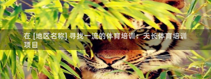 极悦平台创始人背景故事是什么：在 [地区名称] 寻找