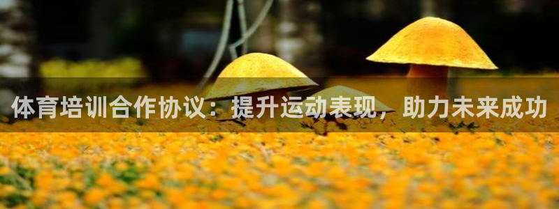 极悦平台注册登录入口：体育培训合作协议：提升运动表现