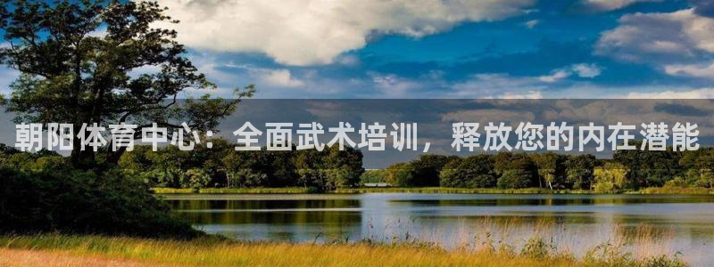 极悦平台是正规平台吗：朝阳体育中心：全面武术培训，释