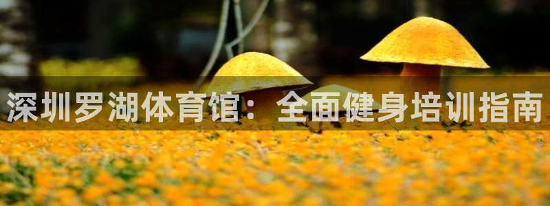 极悦娱乐会被骗吗知乎文章：深圳罗湖体育馆：全面健身培