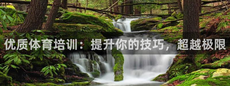 极悦娱乐登录拒绝访问怎么办理：优质体育培训：提升你的