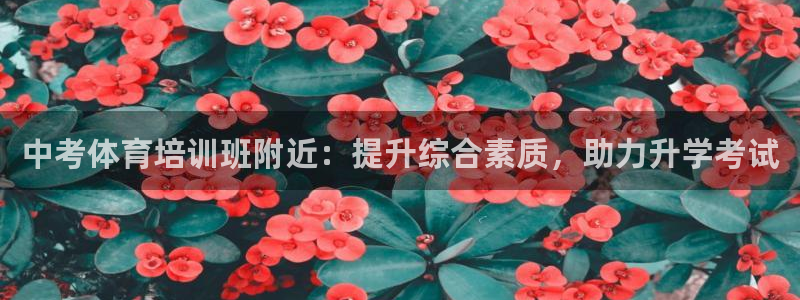 极悦娱乐的创始人背景故事：中考体育培训班附近：提升综