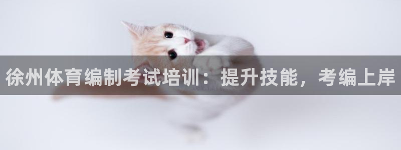 极悦平台客服团队怎么样：徐州体育编制考试培训：提升技