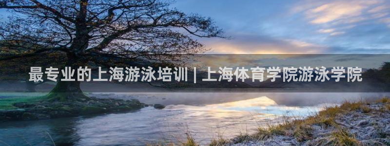 极悦平台登录最新版本更新内容在哪：最专业的上海游泳培