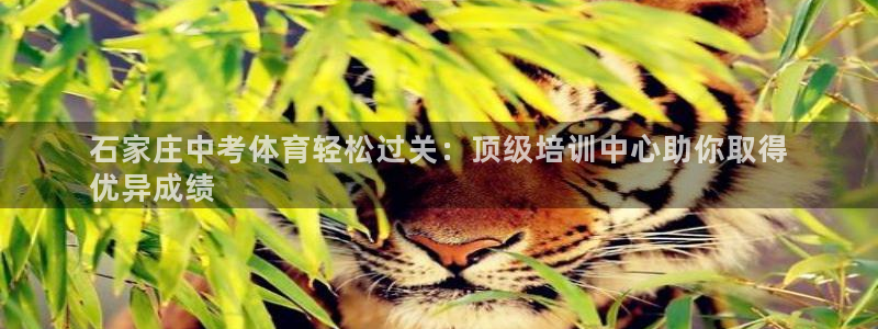 极悦平台平台注册方法与步骤图：石家庄中考体育轻松过关