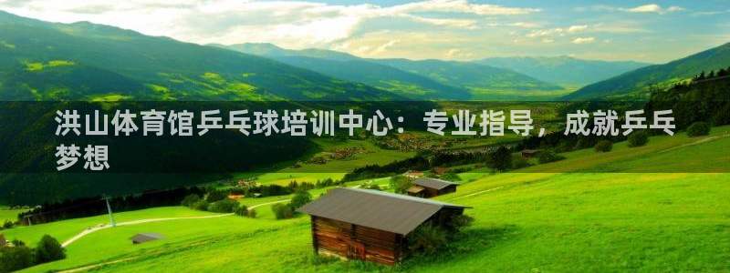 极悦平台是干什么的公司：洪山体育馆乒乓球培训中心：专