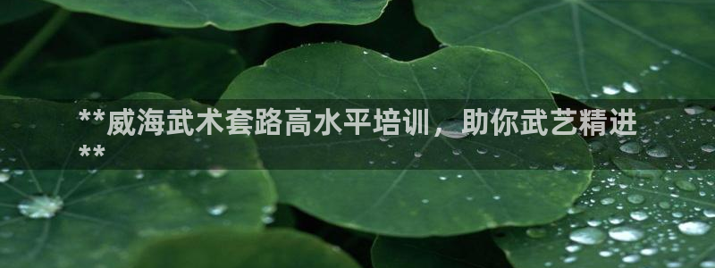 极悦平台注册资金多少：**威海武术套路高水平培训，助