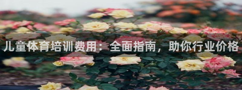 极悦平台官方网站是什么：儿童体育培训费用：全面指南，