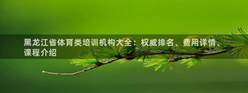 极悦平台官网登录：黑龙江省体育类培训机构大全：权威排