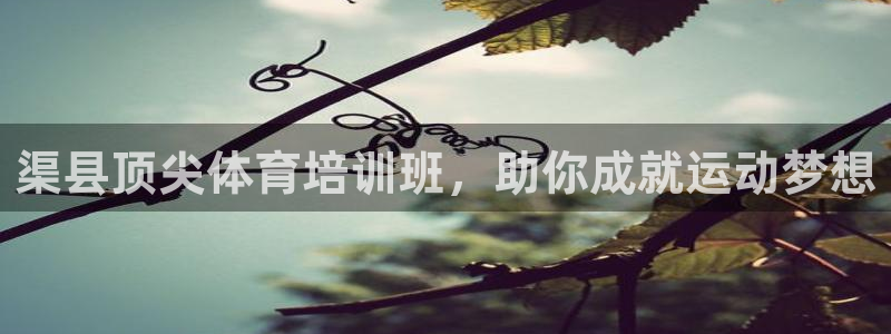 极悦平台安全吗：渠县顶尖体育培训班，助你成就运动梦想