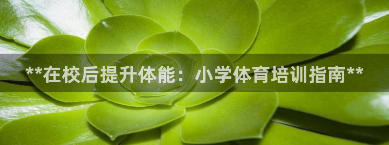 极悦娱乐会被骗吗知乎小说：**在校后提升体能：小学体