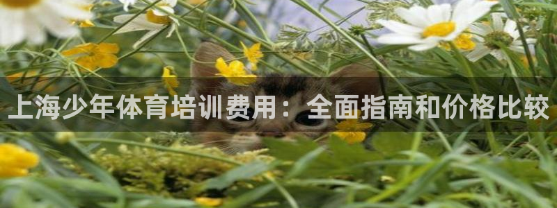 极悦平台保7O777：上海少年体育培训费用：全面指南