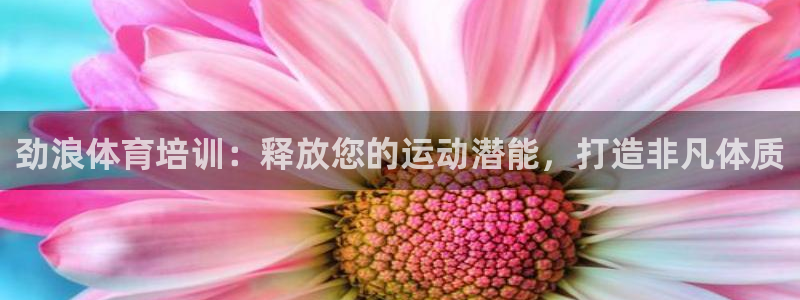 极悦平台代理怎么样啊：劲浪体育培训：释放您的运动潜能