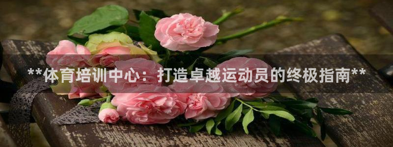 极悦平台注册登录入口网址：**体育培训中心：打造卓越