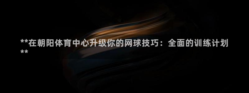 极悦平台创始人背景故事是什么：**在朝阳体育中心升级