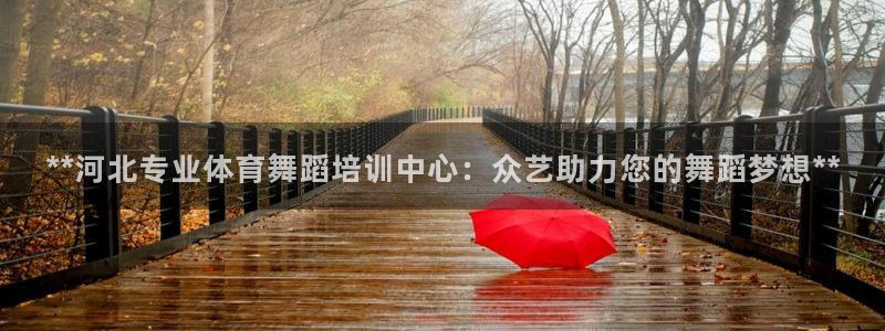 极悦娱乐创始人背景故事：**河北专业体育舞蹈培训中心