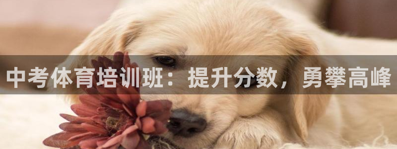 极悦平台注册太7.0.2.4好用吗：中考体育培训班：