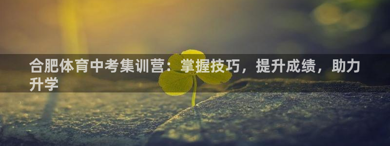极悦平台官方网站登录：合肥体育中考集训营：掌握技巧，